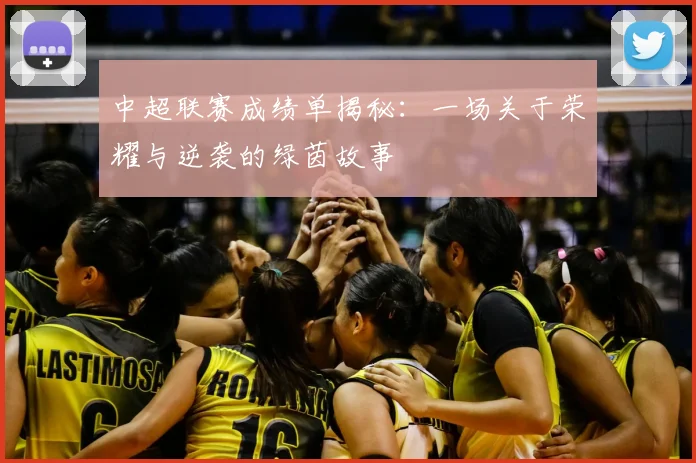 中超联赛成绩单揭秘:一场关于荣耀与逆袭的绿茵故事
